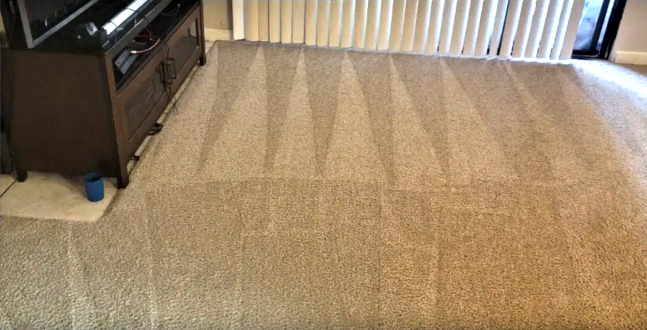 Carpet after cleaning