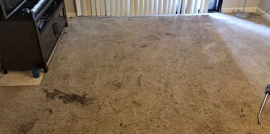 Carpet before cleaning